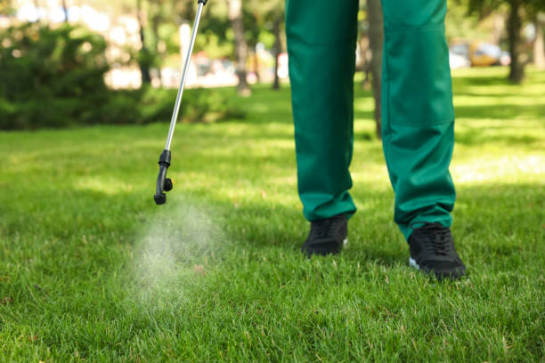 Trusted Leona Valley, CA Pest Control Experts