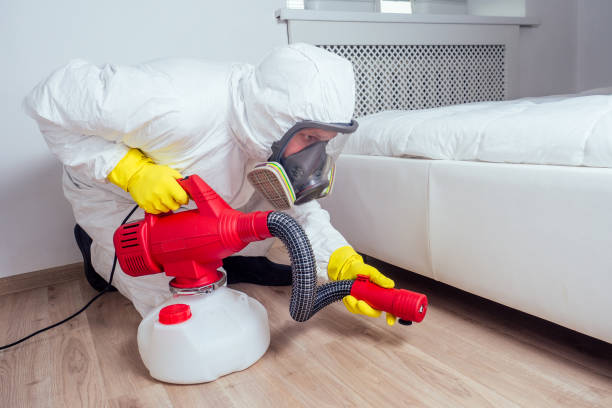 Best Wasp Removal Services  in Leona Valley, CA